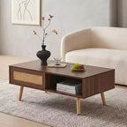 Table basse en rotin PE avec rangement à porte coulissante et pieds en bois massif - Noyer