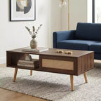 Table basse en rotin PE avec rangement à porte coulissante et pieds en bois massif - Noyer