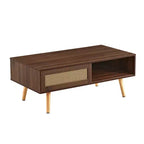 Table basse en rotin PE avec rangement à porte coulissante et pieds en bois massif - Noyer
