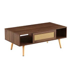 Table basse en rotin PE avec rangement à porte coulissante et pieds en bois massif - Noyer