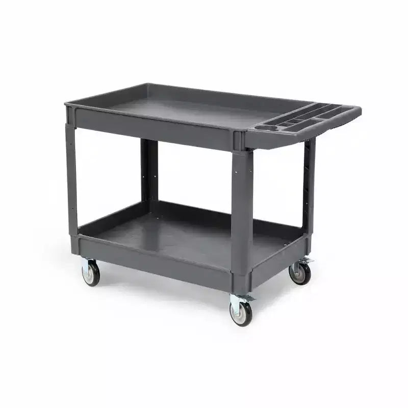 Chariot de rangement à roulettes 2 niveaux 250 kg avec roues verrouillables 117x63 cm
