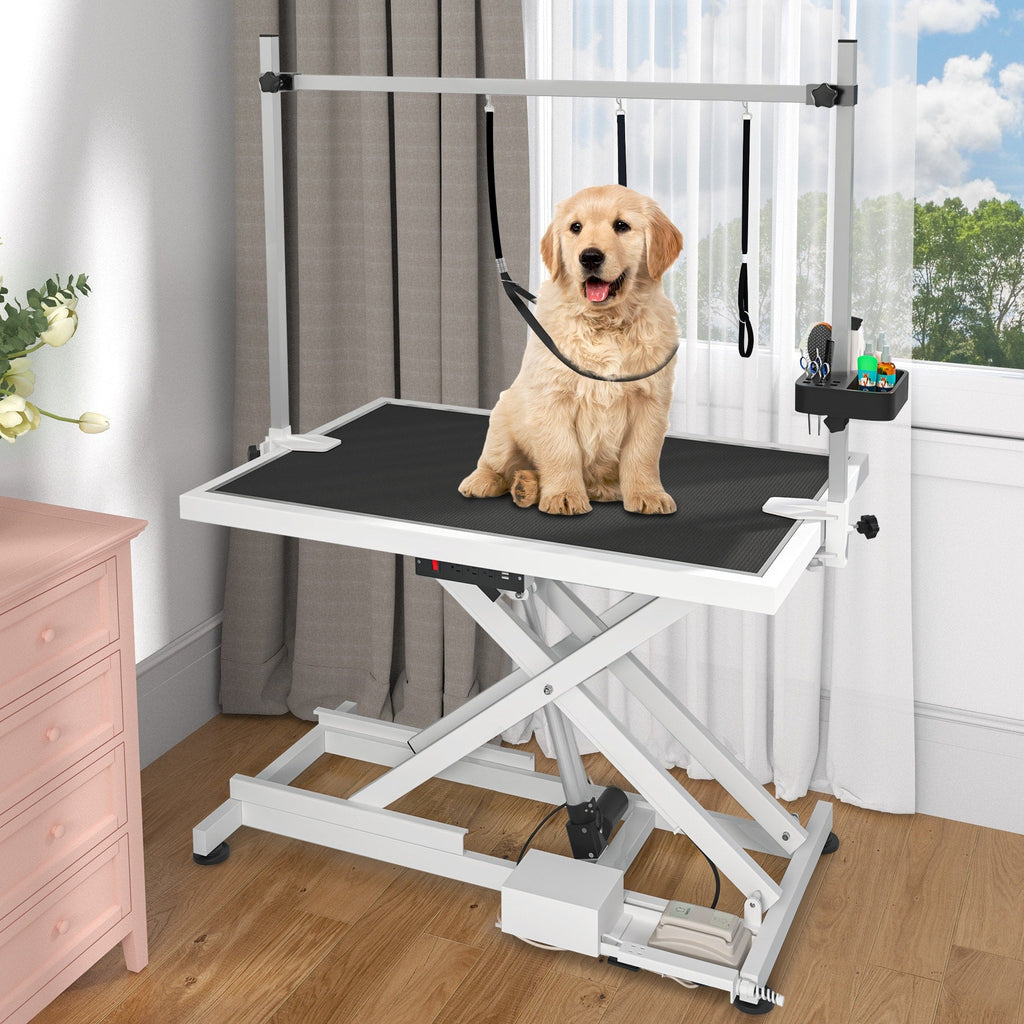 Table de Toilettage Électrique Professionnelle pour Grands Chiens Table de Toilettage Robuste pour Animaux avec Bras de Toilettage en Aluminium - 127 cm L
